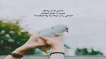 دانلود آهنگ ساری بولبول نه گزیرسن از شاهین زین العابدین